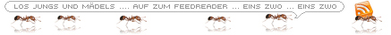 Auf in den Feedreader