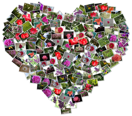 Herzcollage - ein Bild welches über 150 Blumenfotos zu einer Herzform gelegt hat